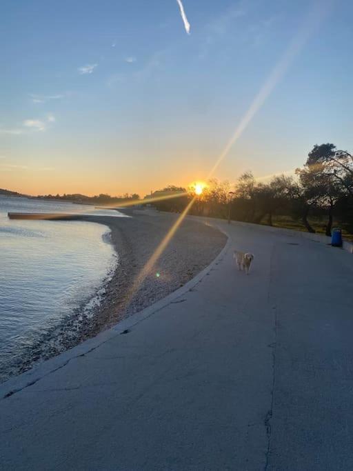 Prostorny Domov V Nejkrasnejsi Casti Chorvatska Lägenhet Vodice Exteriör bild